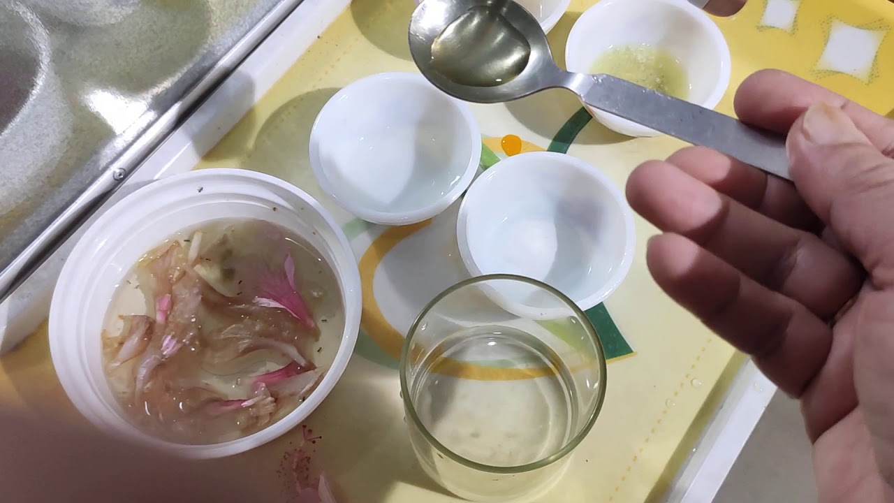 China rose indicator YouTube