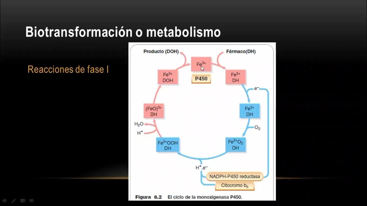 Eliminación YouTube