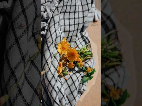 القدس وعكا نحن إلى يافا في غزة نحن وقلب جنين الواحد منا يزهر آلافا لن تذبل فينا ورقة تين ورقة تين 