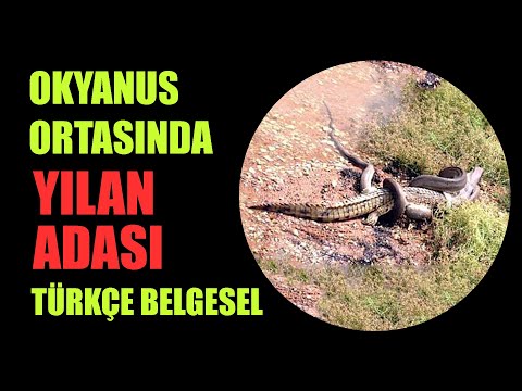 Yılan Adası Belgeseli - Snake Island