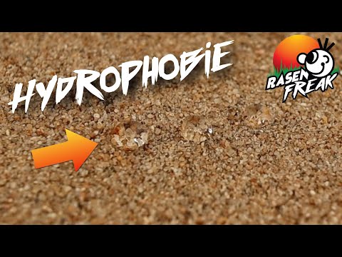 Video: Überarbeitung Der Hydrophobie Angekündigt