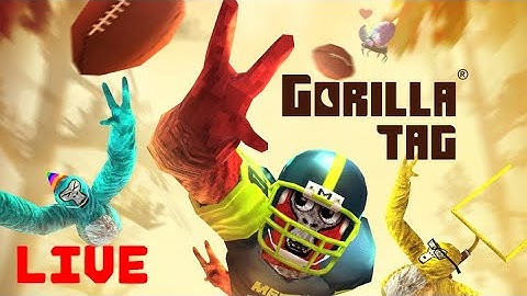Playing Gorilla Tag with Viewers!