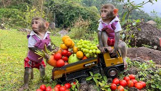 Smart Bim Bim escapes bandits and picks fruit in the garden | The moments Bim Bim takes care of Ame screenshot 2