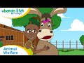 EPISODE 50 Animal Welfare Ubongo Kids African Educational Cartoons EPISODE 50 Animal Welfare Ubongo Kids African Educational Cartoons
