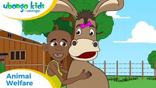 EPISODE 50: Animal Welfare | Ubongo Kids | African Educational Cartoons