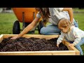 Nina&#39;s Garden: Gardening with Kids