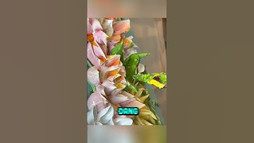 Họa sĩ vẽ tranh như trang trí bánh kem – phong cách 3D độc đáo và gây nghiện #shorts