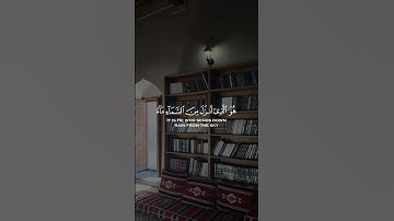 تلاوة خاشعة و مريحة لياسر الدوسري 🤍🎧#viral #ياسر_الدوسري #قران_كريم #quran