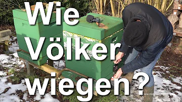 Was wiegt ein Bienenvolk im Winter?