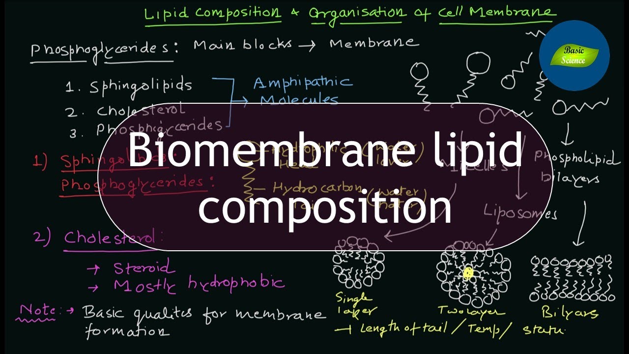 Biomembrane lipid composition | Organization of Cell Membrane | Cell Biology