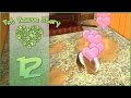 Pet Rescue Story Cat Adoption Denied Episode 12 