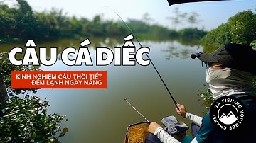 Câu Cá Diếc Với Thời Tiết Đêm Lạnh Ngày Nằng Cực Kỳ Khoai Sắn!