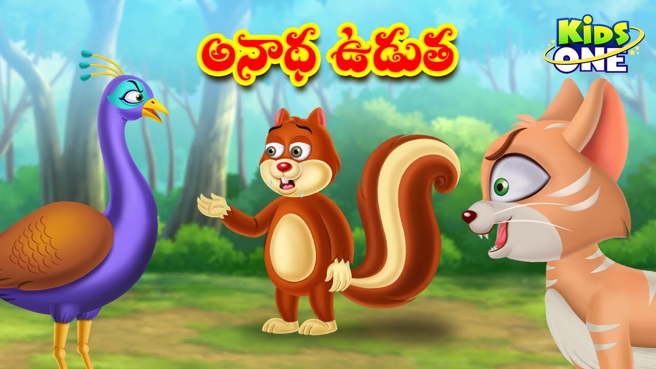 అనాధ ఉడుత | Telugu Cartoon Stories | Orphan Squirrel Story | Cartoon Moral  Stories in Telugu - YouTube