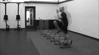 Lateral Hurdle Skip