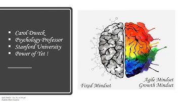 Agile Mindset, Yes, No, or Not yet!