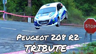 Tribute Peugeot 208 R2 Atmospheric Sound | Crash, Big Show & Action | CMSVideo