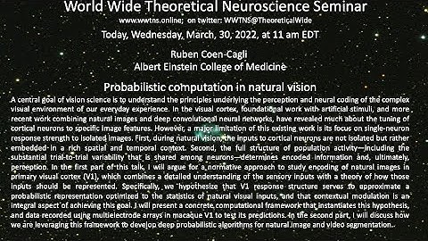 Probabilistic computation in natural vision, Ruben Coen-Cagli, Albert Einstein College of Medicine