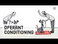 Skinner’s Operant Conditioning: Rewards & Punishments