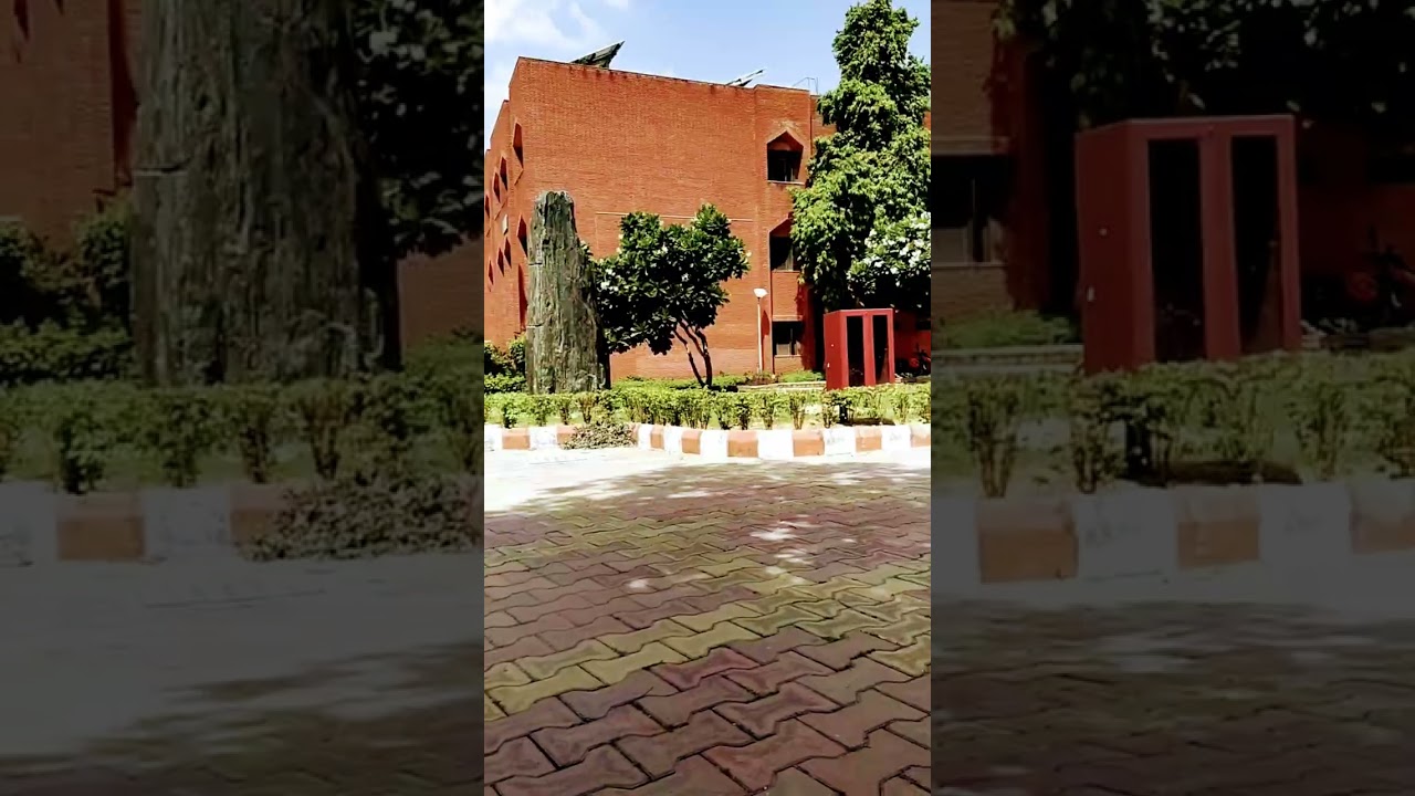 A Day In Jamia's Central Library| Jamia Millia Islamia ❤️| Zakir Hussain Library📚