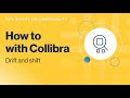 Collibra Data Quality & Observability: drift and shift