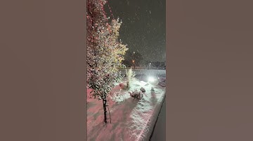 First Snowfall of 2024: A Magical Winter Evening
