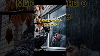 Ворона #music #trending #шуточное #рекомендации #кино #топ #философия #смыслжизни