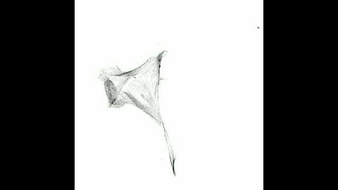 Cell Sensing Nanofibres