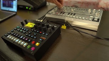 #Jamuary2023 Day 13 Elektron Digitone & Behringer TD-3 (4K)