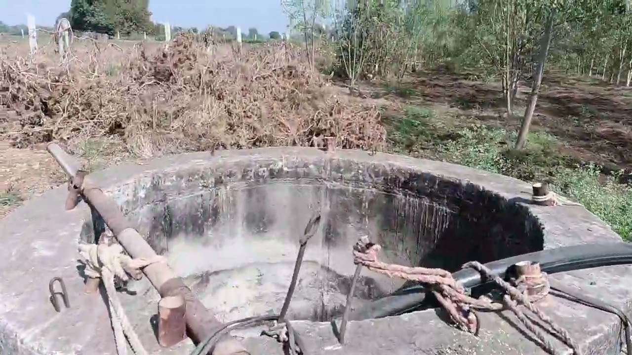 ગામડાની મોજ મારા કાકા ની વાડી 🌾🌲🌴🥰🤩