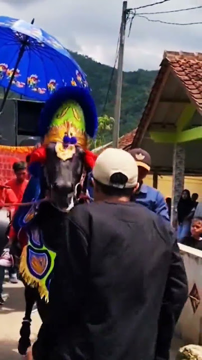 jurus kuda #dapon#daffaariq#juruskuda#kudarenggong #ngakak #lucu #inspiration