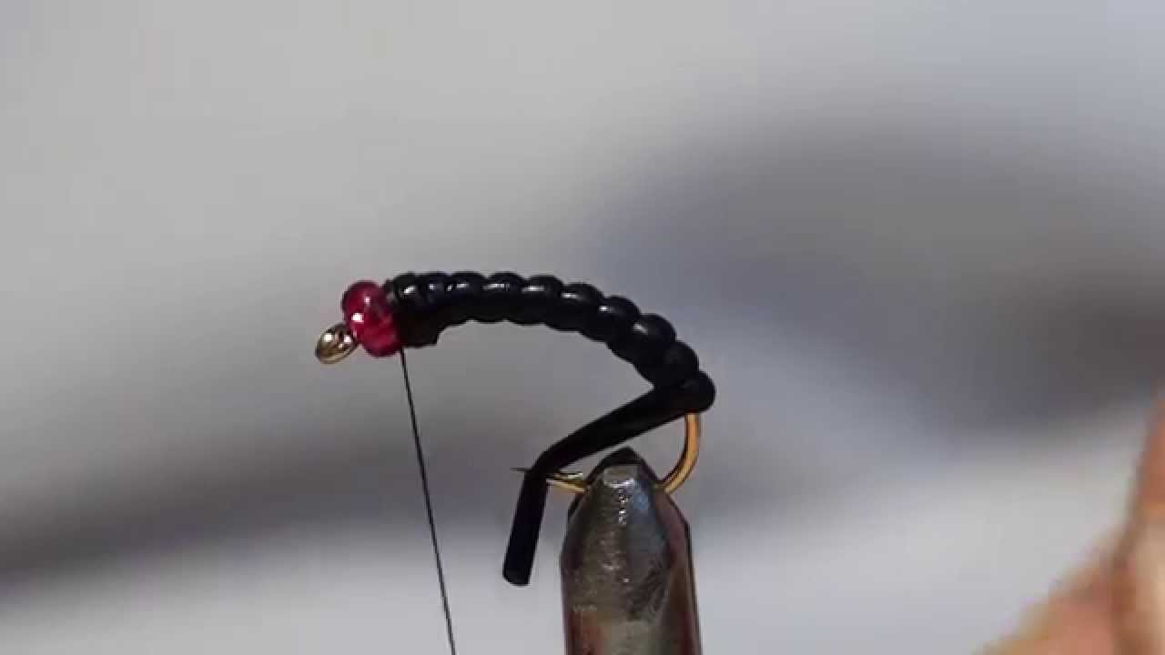 Chironomo con bodyglass