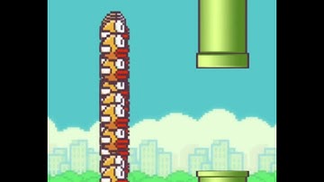 NEAT algorithm plays flappybird