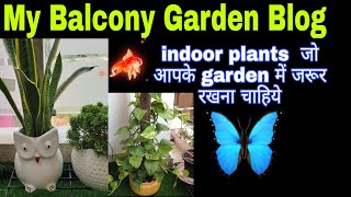 My balcony garden blog | Best indoor plants for your balcony | #blog #gardening