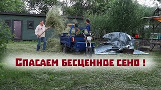 Спасаем сено, находим новую шабашку и экспериментируем в огороде.
