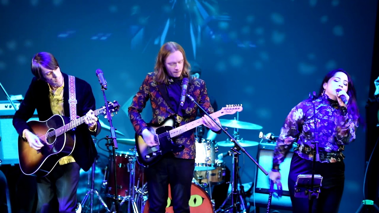 Fractal Cat Cover of “I Am the Walrus” by The Beatles