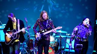 Fractal Cat Cover of “I Am the Walrus” by The Beatles