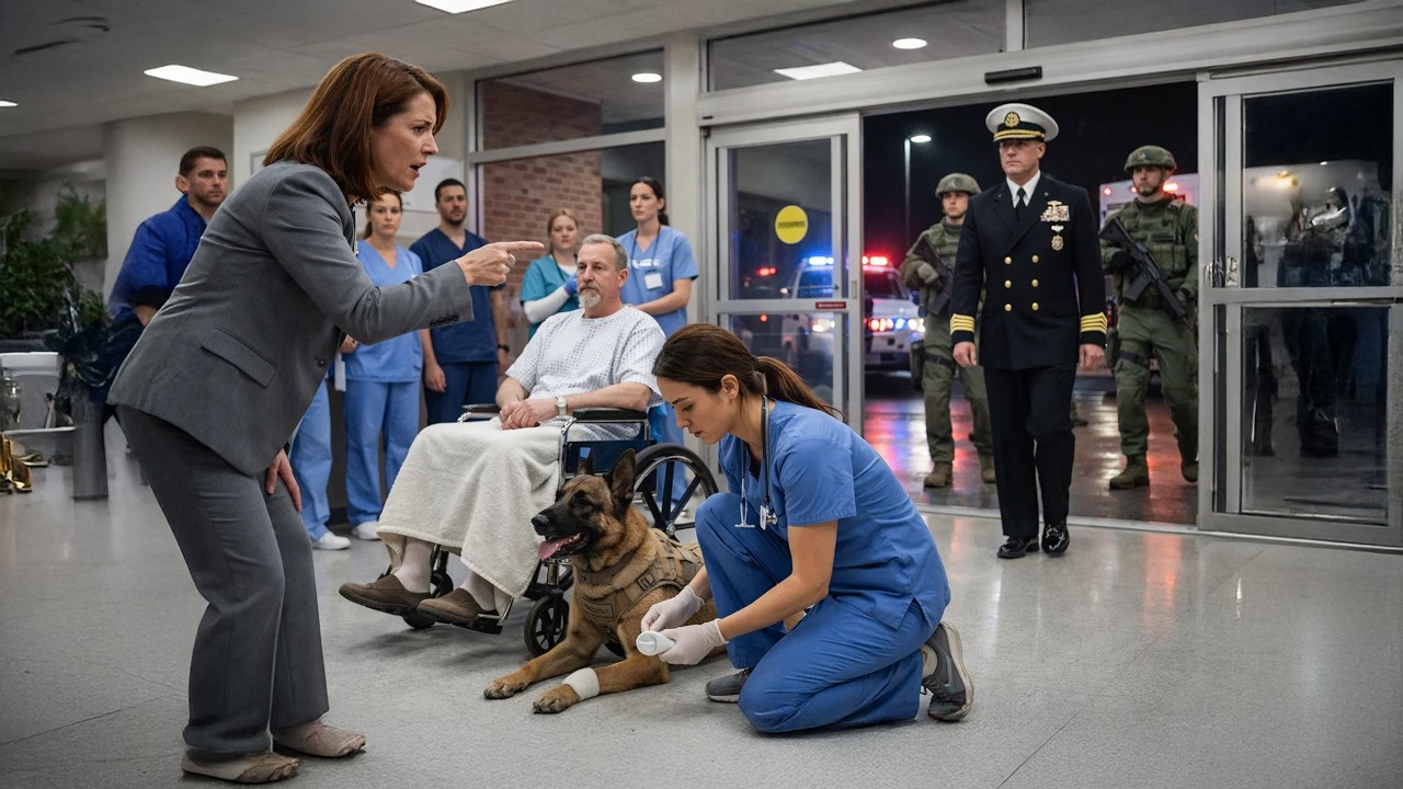 Wegen K9-Rettung gefeuert – dann stürmen Navy SEALs die Türen und sorgen für Gerechtigkeit.