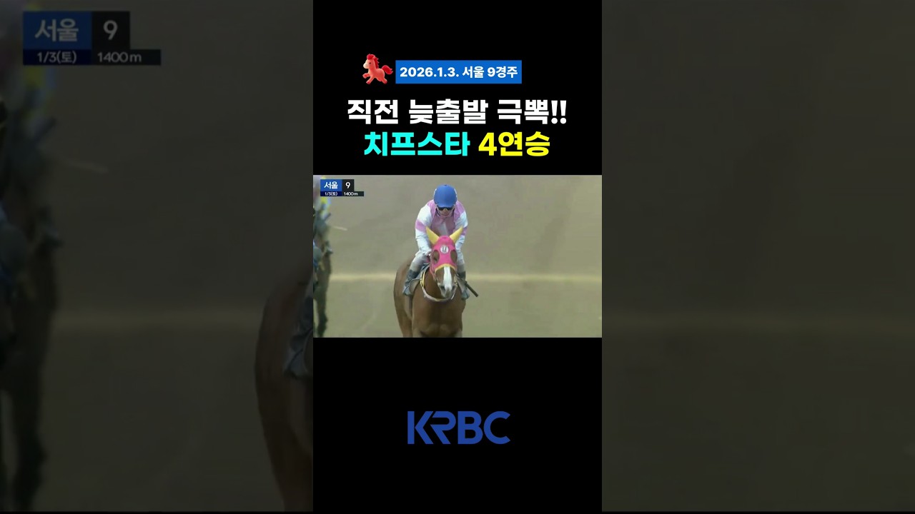 치프스타 4연승! #2026 #병오년 #붉은말의해