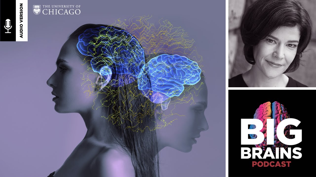 Why We Haven’t Solved Brain Disorders—And How To Fix It, with Nicole Rust