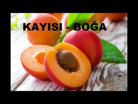 BURCUNA GÖRE HANGİ MEYVESİN