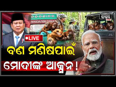 🔴Live :ଓରାଙ୍ଗଉଟାନ ଛୁଆ ପାଇଁ ମୋଦିଙ୍କ ବଡ଼ ଆକ୍ସନ! | Indonesia Demands to take  5 Orangutans But PM Modi.