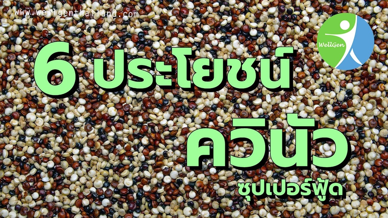6ประโยชน์ควินัว ซุปเปอร์ฟู้ด WELLGENTHAILAND.COM