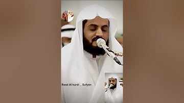 Raad Al kurdi Whatsapp status / رعد الكردي حالات واتس اب / سورة الاسراء الشيخ رعد الكردي