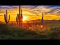 Instrumental Acoustic Folk Music Indie Indie Folk Relaxing Music Desert Flowers Open Road Folk Instrumental Acoustic Folk Music Indie Indie Folk Relaxing Music Desert Flowers Open Road Folk