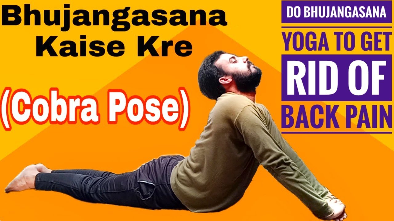 Cobra Pose Kaise Kare Cobra Pose Kaise Kare