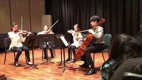Chamber music workshop
