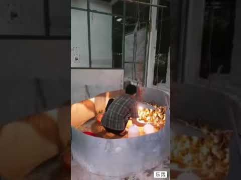 Cara membersihkan kandang Itik 