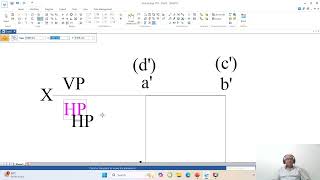 112  Rectangular Lamina Problem Solving by SE sw