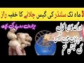 Now the gas cylinder will not run out soon this is the secret | Money saving tips | Kitchen Hacks