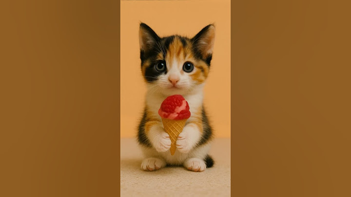 子猫たちが歌う愛スクリ～ム！ラブライブ ルビィちゃん 何が好き AiScReam